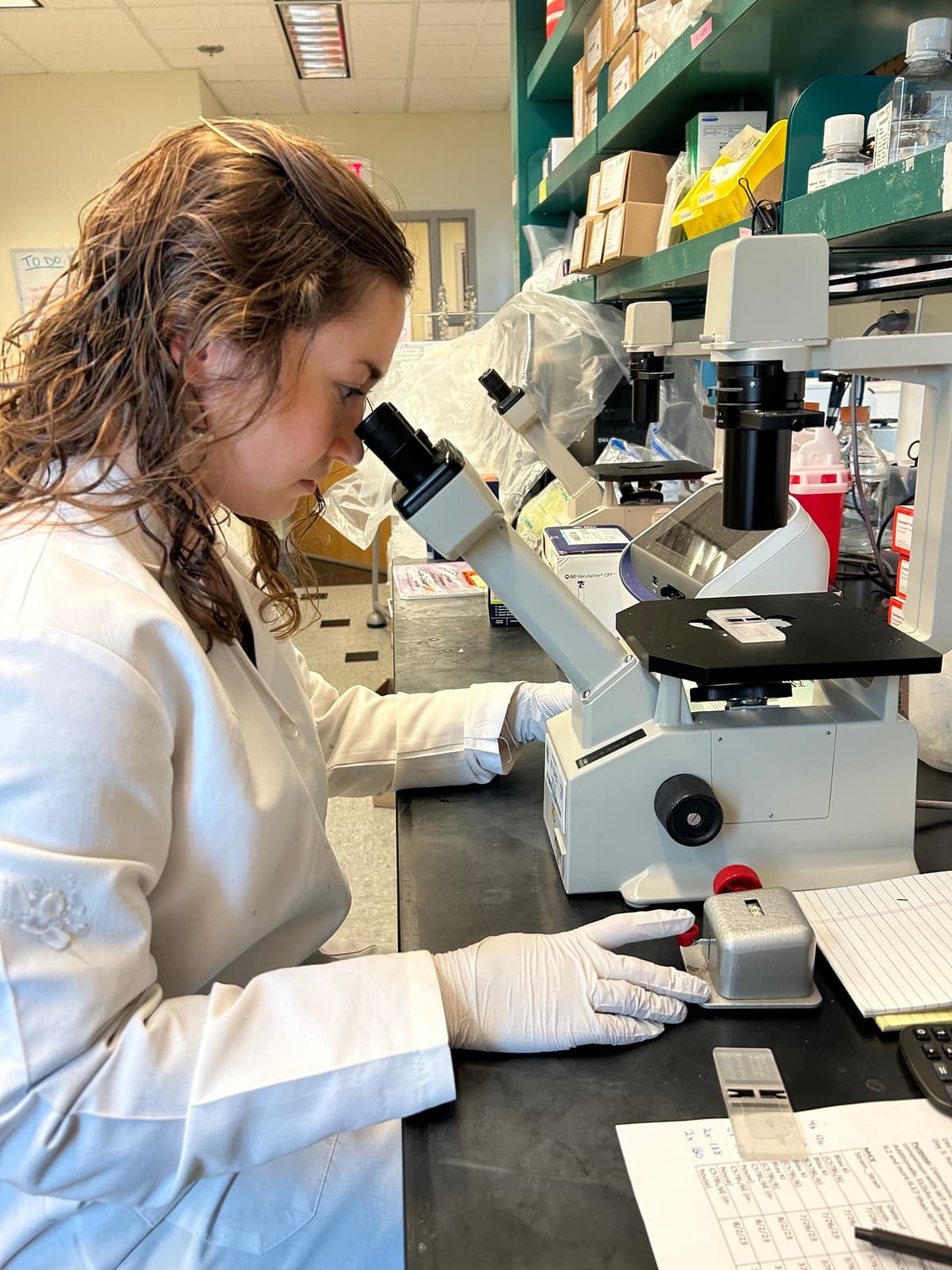 A young woman looking through a microscope in a research lab
